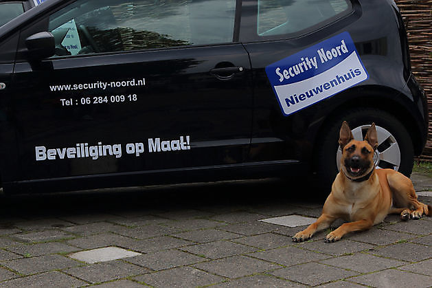 Beveiliging Friesland - Security Noord Nieuwenhuis