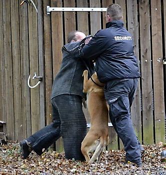 Beveiliging Heerenveen - Security Noord B.V.